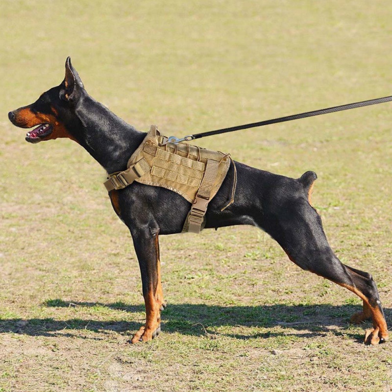UK Tactical K9 Training Dog Harness Military Police